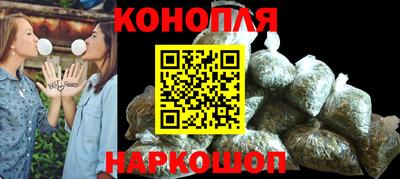 гашик Новокубанск