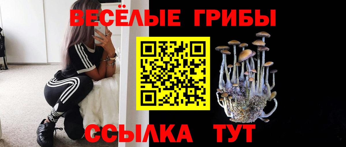 Галлюциногенные грибы Cubensis  Галлюциногенные грибы ЛСД  где можно купить наркотик  Спасск-Дальний  Вход с VPN 